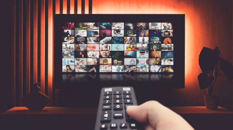 Movies and TV Shows Available on Movierulz3 Explained